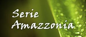 pós fosfatizados Amazzonia GiColor